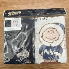 【新品未使用】ユニバ　スヌーピー　ミニタオルセット 25×25cm