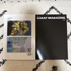 seventeen 会報誌 セット