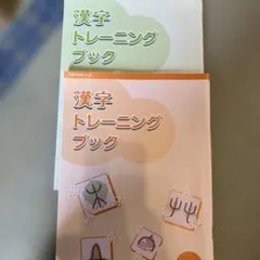 Item thumbnail for item c67870ae-3e6f-478d-981c-cf6e0432484c