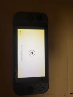 Nintendo Switch グレー 本体 箱無し