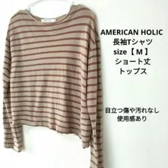 AMERICAN HOLIC 長袖Tシャツ M ショート丈 トップス ボーダー