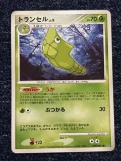 期間限定値下【PSA8】ポケモンカード トランセル 旧裏 初版 マークなし