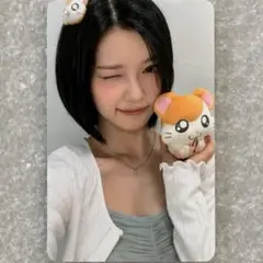 kep1er チェヒョン hellolive 特典トレカ ハムスターver - メルカリ