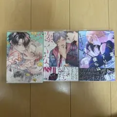 ボーイズラブ漫画セット