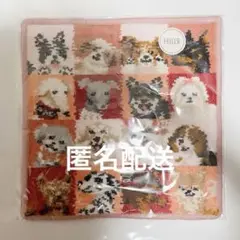 【新品未開封】FEILER フェイラー ルック マイドッグ