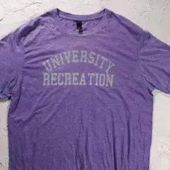 ANVIL Tシャツ カレッジ　LSU パープル