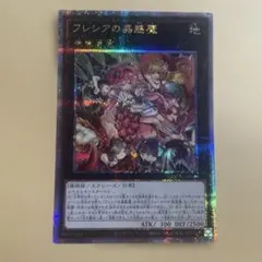 2026年最新】フレシアの蟲惑魔 25thの人気アイテム - メルカリ