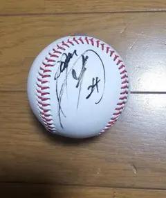 2025年最新】康晃 サインボールの人気アイテム - メルカリ