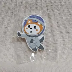 相鉄線　そうにゃん　宇宙　マグネット
