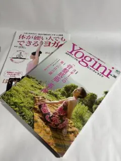 Item thumbnail for item 3359a921-c032-4a0a-b6fc-e7e29e5b6864