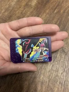 ポケモンフレンダ タグ 11枚セット　レックウザ