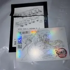 鬼滅の刃 無限城編 ムビチケ風カード 41 冨岡義勇 竈門炭治郎