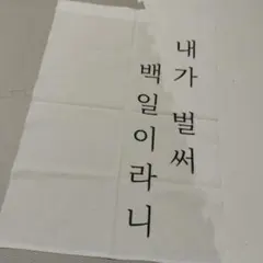 韓国語 ハングル タペストリー 壁掛け インテリア　100日　백일