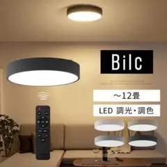 Bilcシーリングライト ブラック