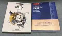 大学数学統計学2冊セット