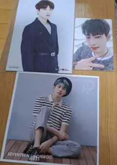 SEVENTEEN セブチ ウォヌ まとめ売り