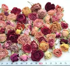 ぶいもん様 リクエスト 2点 まとめ商品