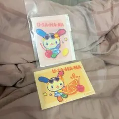 サンリオキャラクターズ ウサハナ ブロマイド 2枚セット