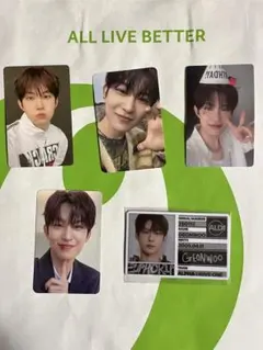 ald1 ゴヌ トレカ セット