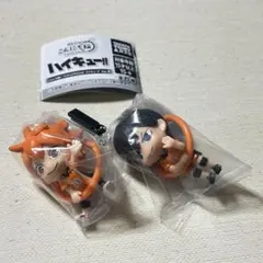 ハイキュー‼︎ 日向翔陽 影山飛雄