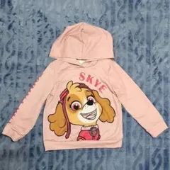 パウパトロール スカイ 120