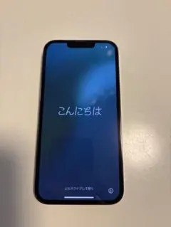 iPhone 13 Pro グラファイト　本体