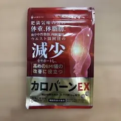 カロバーンEX 60粒 30日分 サプリメント