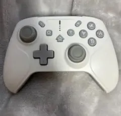 ワイヤレスコントローラー Nintendo Switch対応