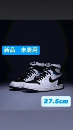 fragment NikeAirJordan 1 Retro High 27.5