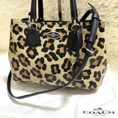 美品 COACH ショルダーバッグ PVCレザー ボルドー 2way レオパード