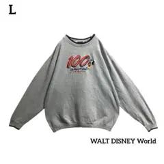 Disney World100Years00sヴィンテージスウェット刺繍ロゴ古着