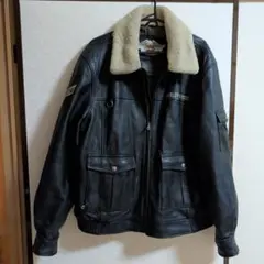HAROLD'S GEAR ハロルズギア ベリーショートレザージャケット 状態良