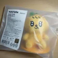 MINITEEN スングァン ミニティーン