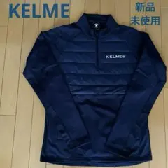 Item thumbnail for item 517d4023-08f4-45b3-bed9-99b57e3fa972