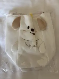 アントン　ペンライトバッグ　ファンライト　モンリョンイ　RIIZE