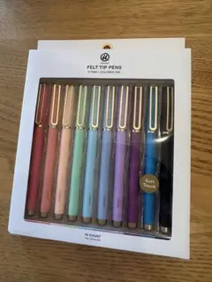 Felt Tip Pens 10 Count