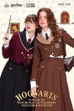 Item thumbnail for item 42c076cc-c08c-4593-8bb1-ede344fc1cb3