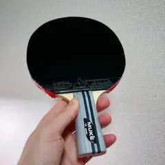 卓球  ラケット  裏ソフト  ラバー　スポーツ　中国式ペン　中ペン　Cs T1