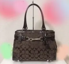 【美品】コーチ バッグ ハンプトンズシグネチャーミディアムキャリオール