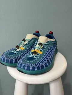 専用