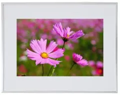 Item thumbnail for item 162ad1fb-65e6-4c1e-8545-e962653989d2