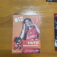 中東泰斗 名古屋ダイヤモンドドルフィンズ ファングッズカード