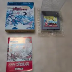 対戦型プロレス ゲームボーイ ソフト