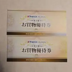 ヤマダ電気 お買い物券 10000円分