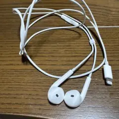 iPhone純正イヤホン 14Proに使用