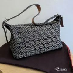 COACH　コーチ　ミニシグネチャー　ワンショルダー　アクセサリーポーチ