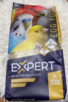 Item thumbnail for item 7922ba94-8e27-4fe9-bef3-b3ee6bddd432