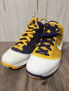 NIKE LEBRON 7 メディアデイレイカーズ　レブロン7