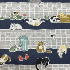 猫が好き❤️猫ちゃん達がいっぱい 可愛い過ぎ