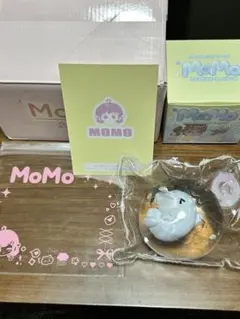 緑*鳥様 MOMO スクイーズ　海洋シリーズ　第一弾　イルカ